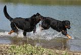 BEAUCERON 671